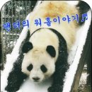 박정후번역 | [워킹홀리데이] 팬더의 워킹이야기 - 호주워킹홀리데이 책 리뷰 - " 호주워홀러의 무한도전ing "