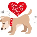 진심동물내과심장병원 이미지