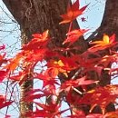 살아생전 이미지