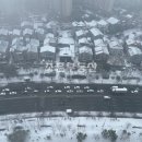 이진캐스빌공인중개사사무소 이미지