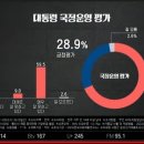 KSOI 여론조사 결과, 긍정 28.9% 이미지