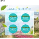 편백권역마을 이미지