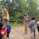 초안산 유아숲체험장 이미지