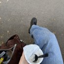 닥터슈즈운동화빨래방 | 닥터마틴 1461 스무스, 종류별 차이점 + 클래식 로퍼 230사이즈 여자 착샷