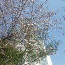 속초대복부동산공인중개사사무소 이미지