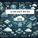 대신씨앤에스