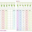 삼남개발(주) 기흥컨트리클럽 | 2월말현재 급등세~ 기흥cc골프회원권시세 에 대해서~