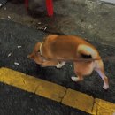 오리게임랜드 이미지