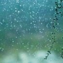 재스민향기 이미지