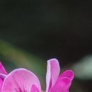 유쾌한 상상1 이미지