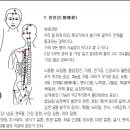 경락 - 12 경락도 질병에 따라 지압하면 좋은 경락 이미지