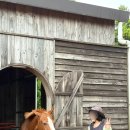 장사목장2 | 제주도 서귀포카페 승마체험이 가능한 목장카페밭디