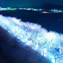 벚꽃길13 연합뉴스
