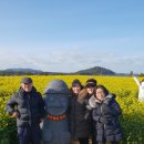 제주로여행유