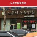 노룬산동물병원 이미지