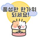 영통유도체육관 네이버블로그