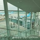 대한항공 인천 나가사키 지연 보상 밀쿠폰 사용 및 특별기내식 한국식 채식 생야채식 후기