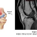 한미정형외과