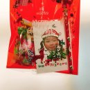 용인대 태기 합기도 이미지