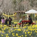 월아산 숲속의 진주 이미지