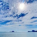 삼포슈퍼 이미지