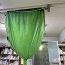 화성스마일약국 이미지