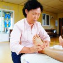 사랑의 뜰안 이미지