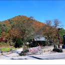 호명산 농장 이미지