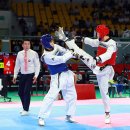 태백강원태권도체육관 이미지