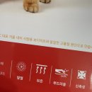 일동 BYC | 2022케이펫페어 일산/최대한 자세하게 써보는 리얼후기 및 소소한 꿀팁!!