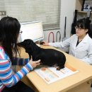 문수동물병원 이미지