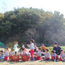 수곡어린이집 이미지