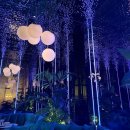 강남대로65길 7 이미지