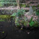 귤동국밥