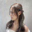 리느 이미지