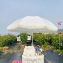 소담농장 이미지