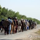 May Peace Festival 이미지