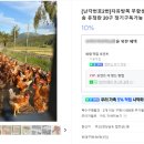 애향유정란