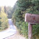 Good Forest 이미지