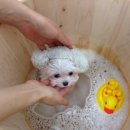 젠동물병원 이미지