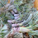 원순농장 이미지