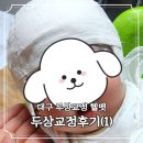 대호상사 | 경대두상교정 비용 대구두상교정헬멧 금액 후기 2탄