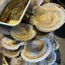 마당집 | 포항 영일대조개구이 마당집 방문후기