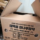 주식회사 태백골 네이버블로그