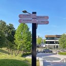 평화공원(외각) | 부산 걷기좋은곳 유엔기념공원으로 나들이, 꽃과 식물이 가득한 뷰맛집(5월의 등나무 꽃)