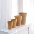 정원초등학교 이미지