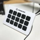 블루버드 이미지