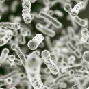 피부미인화장품 이미지