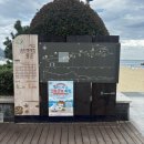 송도오션파크 이미지