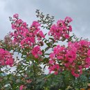 선길농장 이미지